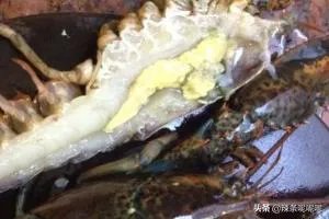 清蒸波士顿龙虾做法?