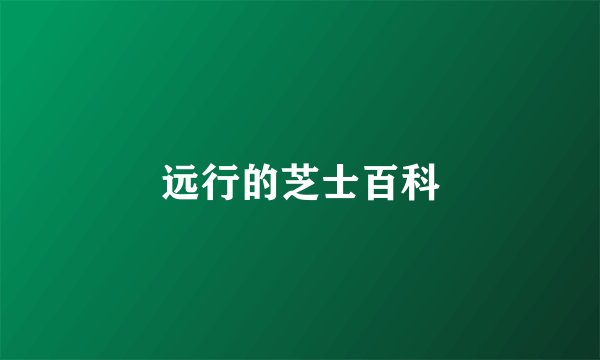 远行的芝士百科