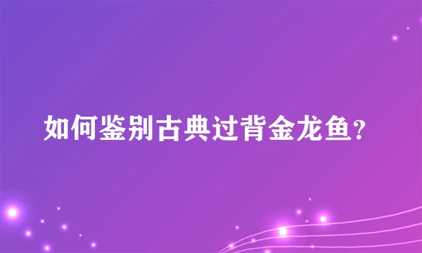 如何鉴别古典过背金龙鱼?