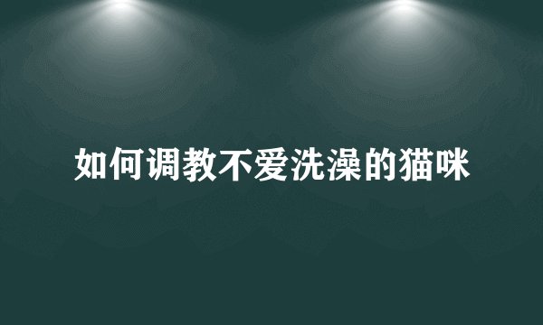 如何调教不爱洗澡的猫咪