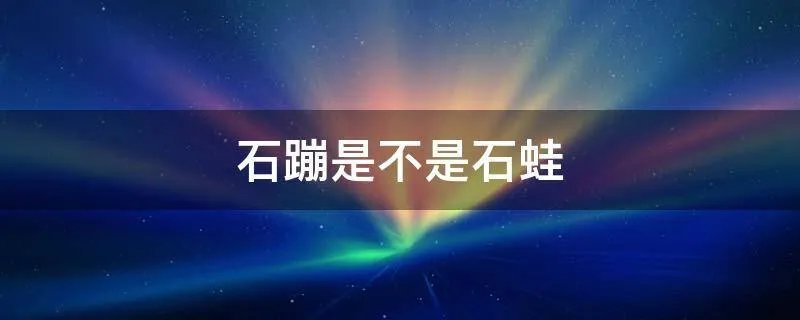 石蹦是不是石蛙