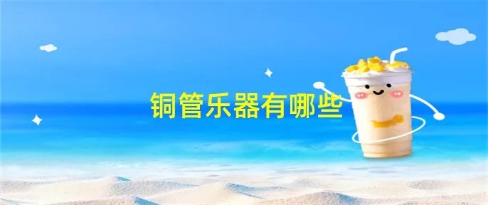 铜管乐器有哪些