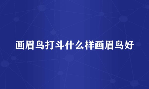 画眉鸟打斗什么样画眉鸟好