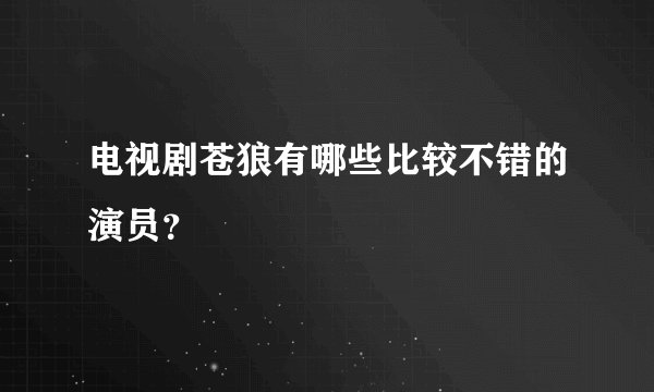 电视剧苍狼有哪些比较不错的演员？