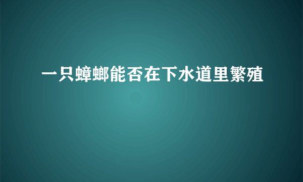 一只蟑螂能否在下水道里繁殖