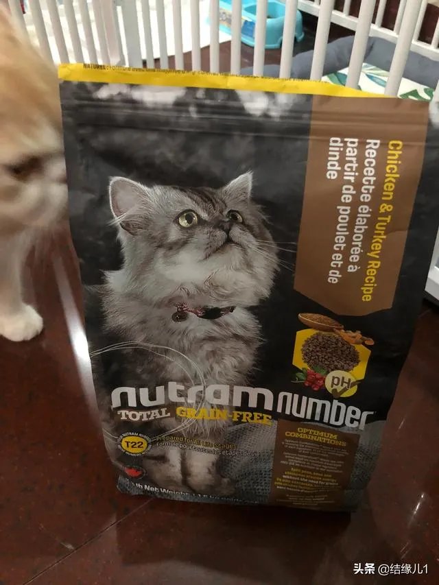 有没有比较好的猫粮推荐一下?