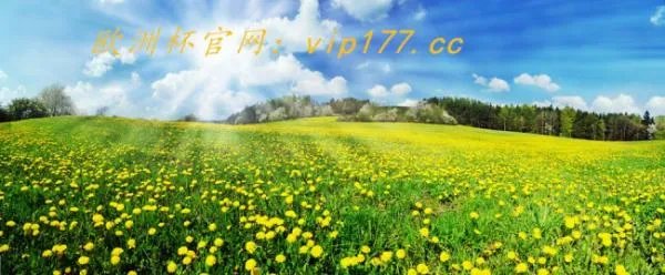 国家欧洲杯赛程2020赛程表？