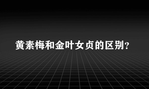 黄素梅和金叶女贞的区别?