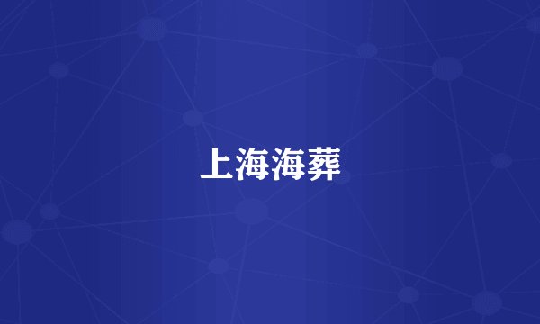 上海海葬