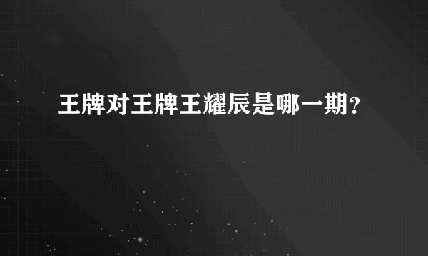 王牌对王牌王耀辰是哪一期？