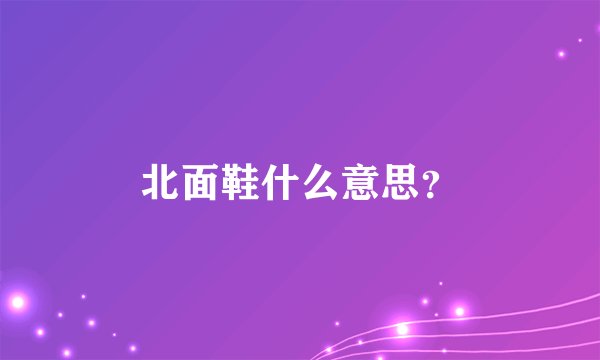 北面鞋什么意思？