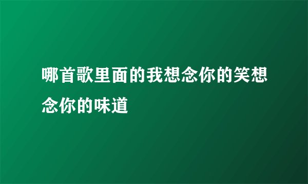 哪首歌里面的我想念你的笑想念你的味道