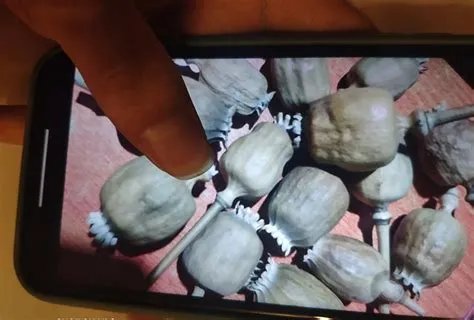 小餐车多少钱一辆,一台小吃车多少钱一个