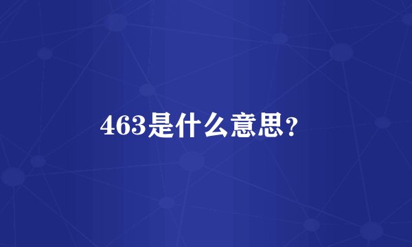 463是什么意思？