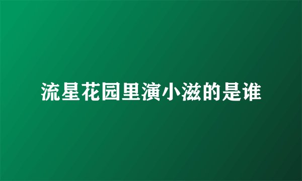 流星花园里演小滋的是谁