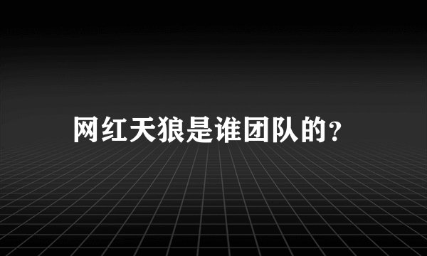 网红天狼是谁团队的？