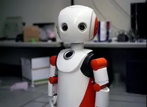 日本类人机器人的简介