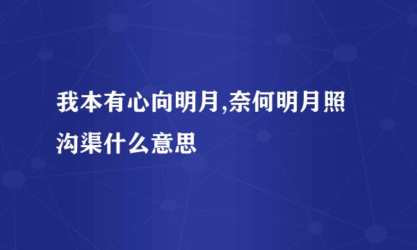 我本有心向明月,奈何明月照沟渠什么意思