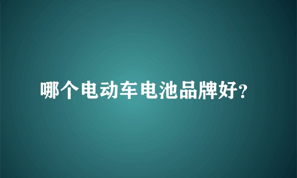 哪个电动车电池品牌好?