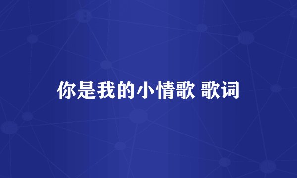 你是我的小情歌 歌词