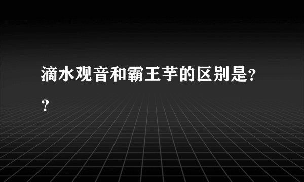滴水观音和霸王芋的区别是？？