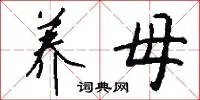 养母