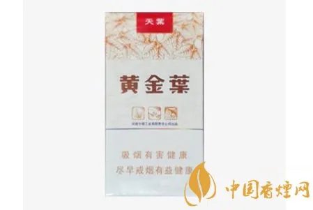 黄金叶天叶辨别真伪的方法分享