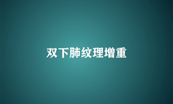 双下肺纹理增重