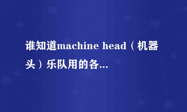 谁知道machine head(机器头)乐队用的各是什么牌子的电吉他,贝司,鼓?音箱和效果器都是什么