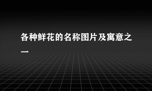 各种鲜花的名称图片及寓意之一