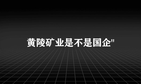 黄陵矿业是不是国企