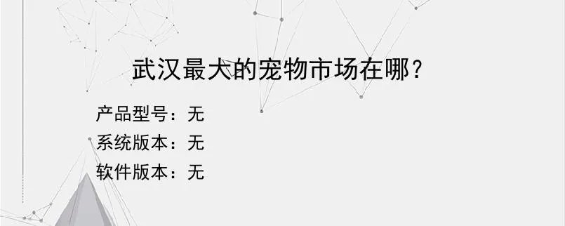武汉最大的宠物市场在哪?