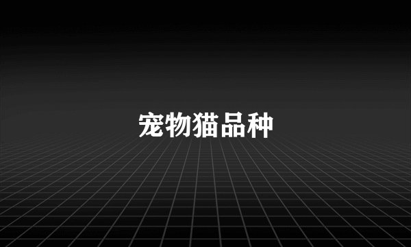 宠物猫品种