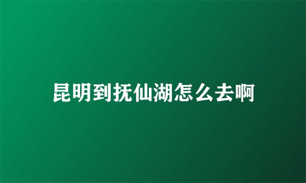 昆明到抚仙湖怎么去啊