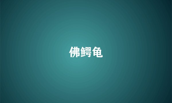佛鳄龟