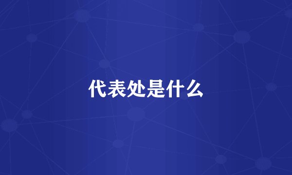 代表处是什么