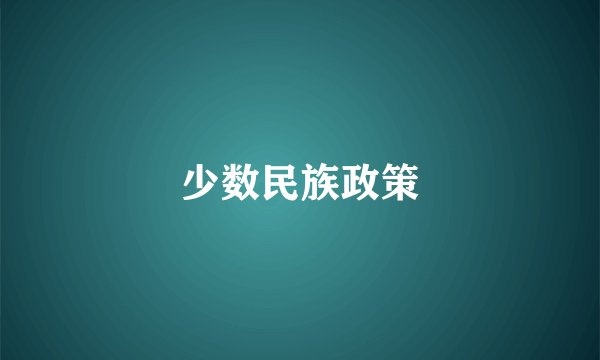 少数民族政策