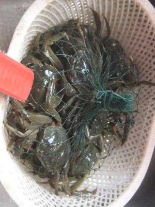 清蒸螃蟹