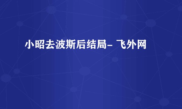 小昭去波斯后结局- 飞外网