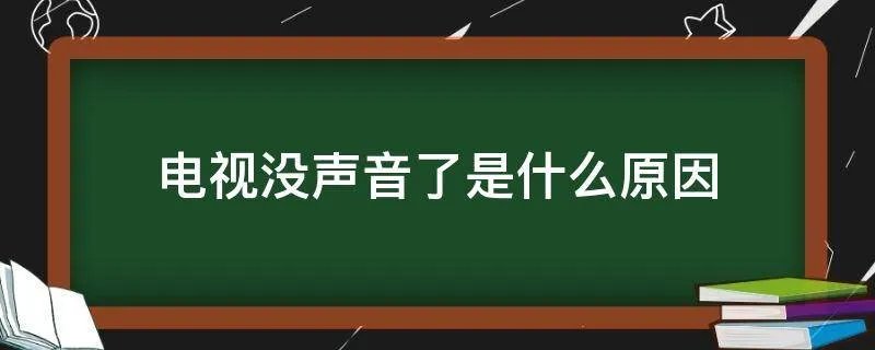 电视没声音了是什么原因