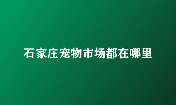 石家庄宠物市场都在哪里