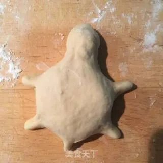 小乌龟