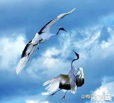 云南大山包景色如何,你怎么评价?