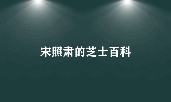 宋照肃的芝士百科