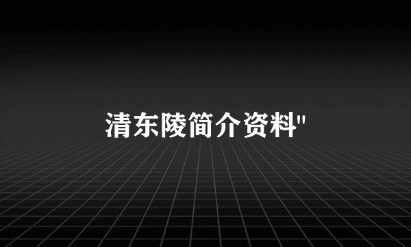 清东陵简介资料