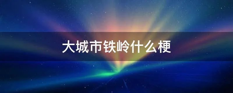 大城市铁岭什么梗