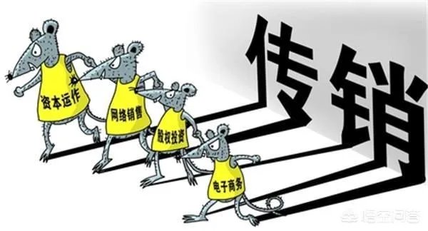 绿叶到底是不是传销?