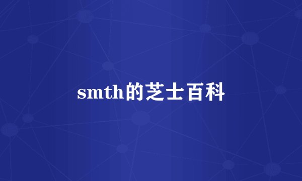 smth的芝士百科