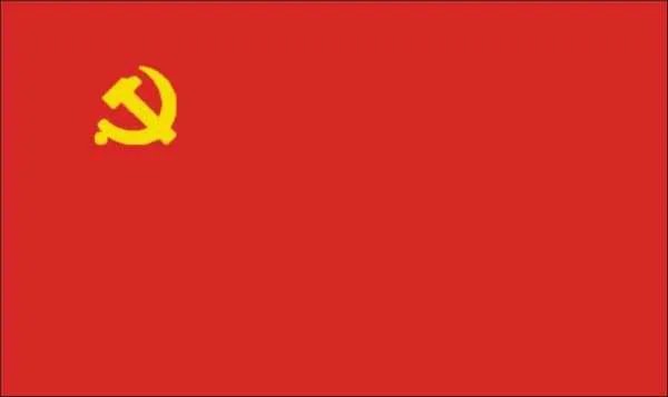 党员公开承诺书如何填写？