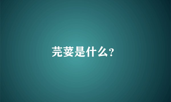 芫荽是什么？